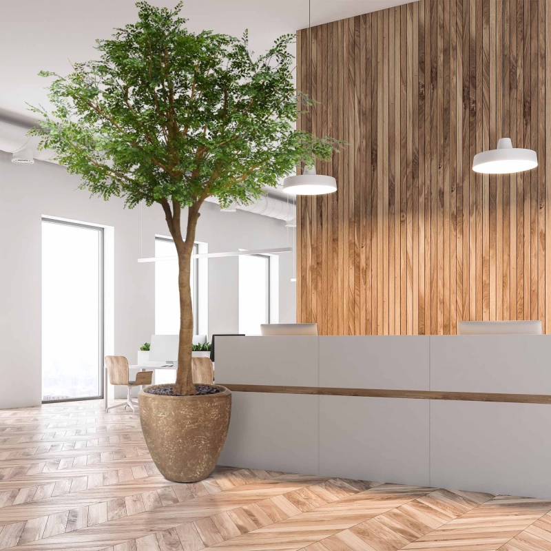 Albero artificiale di Murraya deluxe XXL 370 cm