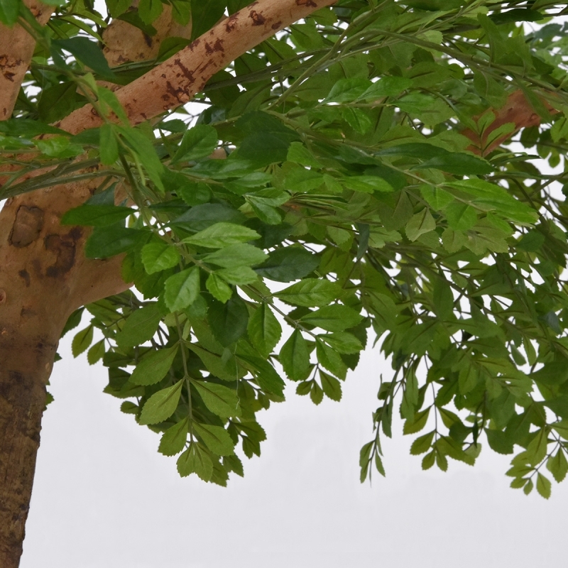 Albero artificiale di Murraya deluxe XXL 370 cm