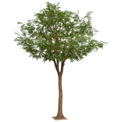 Albero artificiale di Murraya deluxe XXL 370 cm