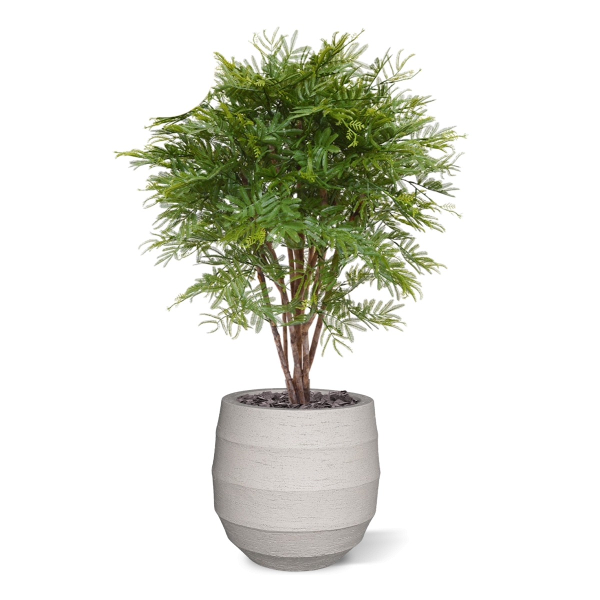 Pianta artificiale di mimosa 110 cm - resistente ai raggi UV