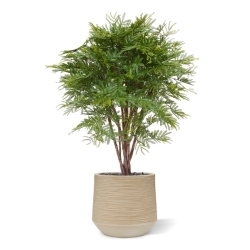 Pianta artificiale di mimosa 110 cm - resistente ai raggi UV