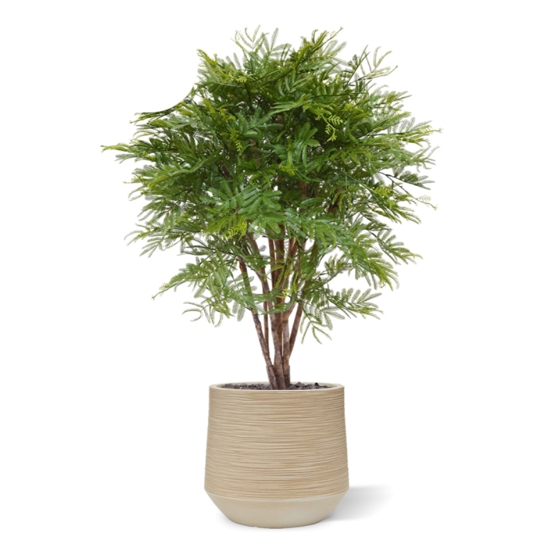 Pianta artificiale di mimosa 110 cm - resistente ai raggi UV