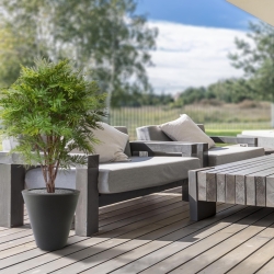 Pianta artificiale di mimosa 110 cm - resistente ai raggi UV