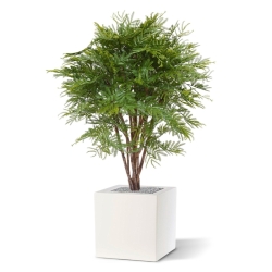 Pianta artificiale di mimosa 110 cm - resistente ai raggi UV