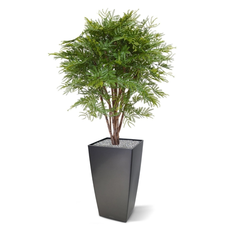 Pianta artificiale di mimosa 110 cm - resistente ai raggi UV