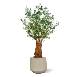 Ulivo artificiale gigante Deluxe 290 cm