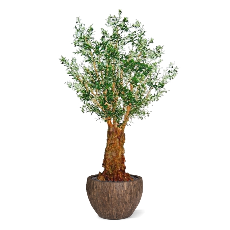 Ulivo artificiale gigante Deluxe 290 cm