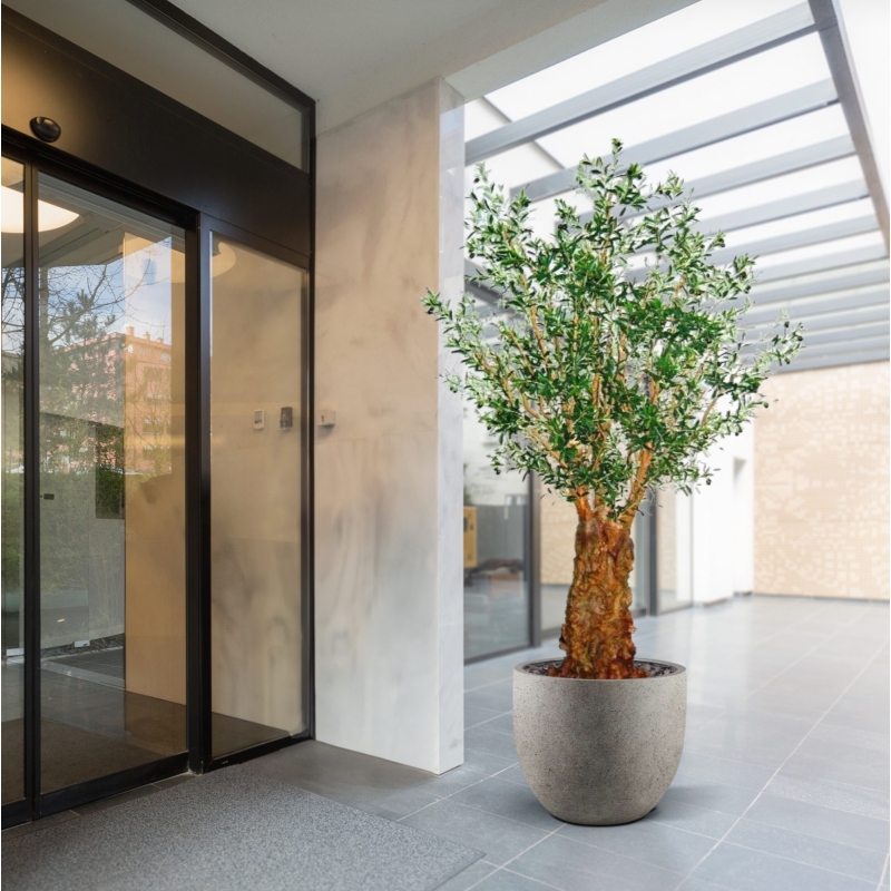 Ulivo artificiale gigante Deluxe 290 cm