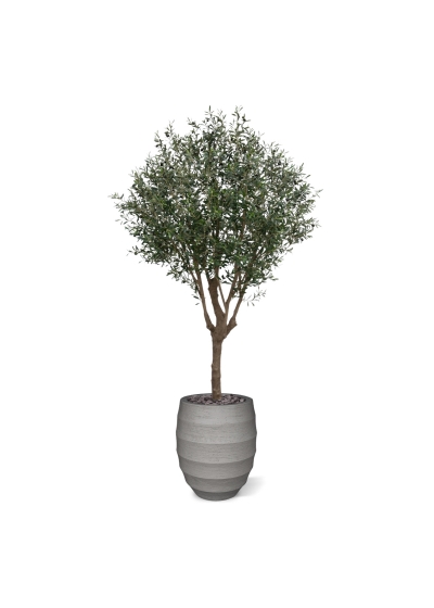 Albero artificiale di ulivo XL 250 cm Deluxe