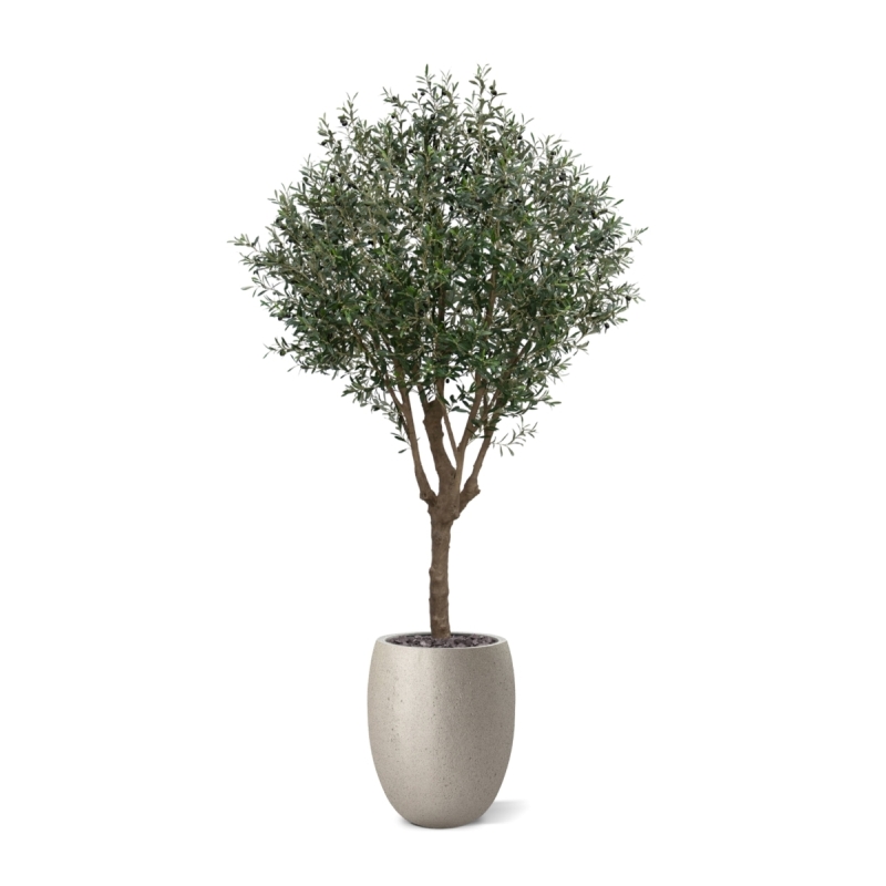 Albero artificiale di ulivo XL 250 cm Deluxe