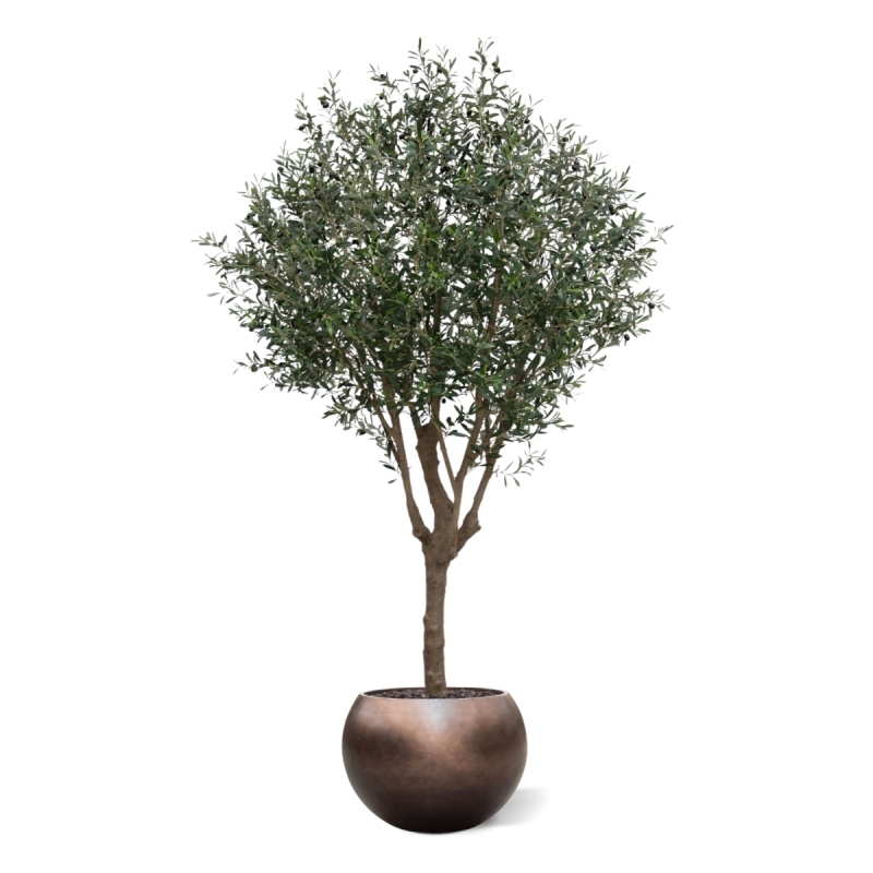 Albero artificiale di ulivo XL 250 cm Deluxe