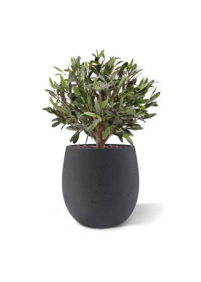Sfera di Ulivo Artificiale D 40cm UV in vaso