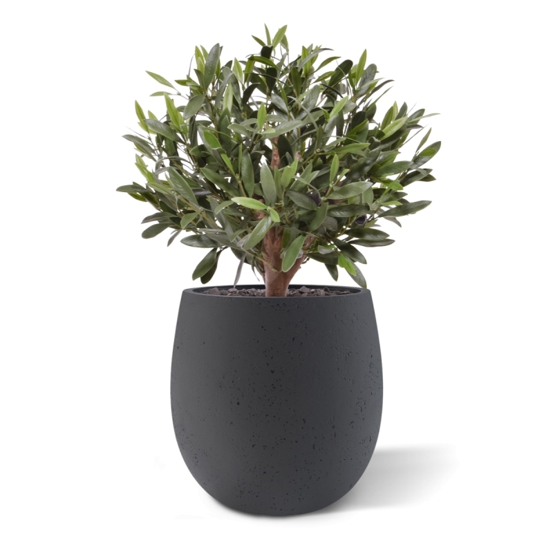 Sfera di Ulivo Artificiale D 40cm UV in vaso