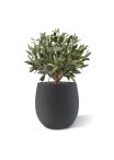 Sfera di Ulivo Artificiale D 40cm UV in vaso