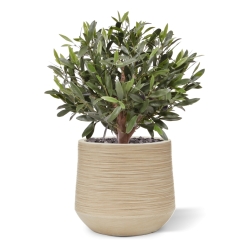 Sfera di Ulivo Artificiale D 40cm UV in vaso