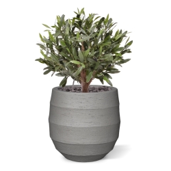 Sfera di Ulivo Artificiale D 40cm UV in vaso