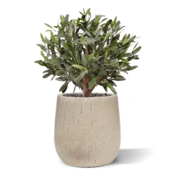 Sfera di Ulivo Artificiale D 40cm UV in vaso