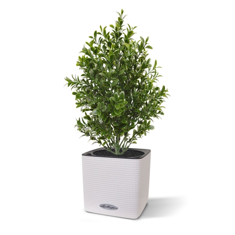 Bouquet artificiale di bosso 30 cm UV