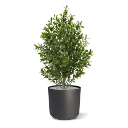 Bouquet artificiale di bosso 30 cm UV