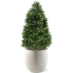 Pianta artificiale a torre di Buxus 110 cm - resistente ai raggi UV