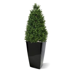 Pianta artificiale a torre di Buxus 110 cm - resistente ai raggi UV