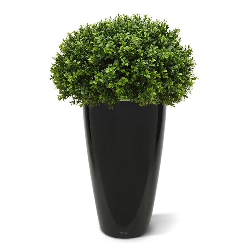 Pianta artificiale di bosso a mezza sfera 60 cm - resistente ai raggi UV