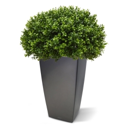 Pianta artificiale di bosso a mezza sfera 60 cm - resistente ai raggi UV