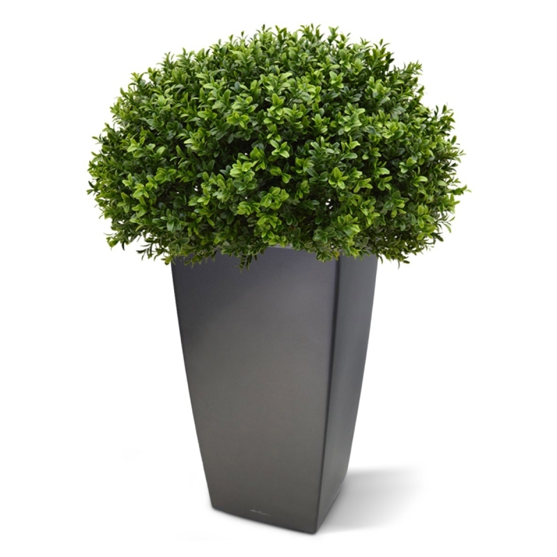 Pianta artificiale di bosso a mezza sfera 60 cm - resistente ai raggi UV