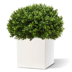 Pianta artificiale di bosso a mezza sfera 60 cm - resistente ai raggi UV