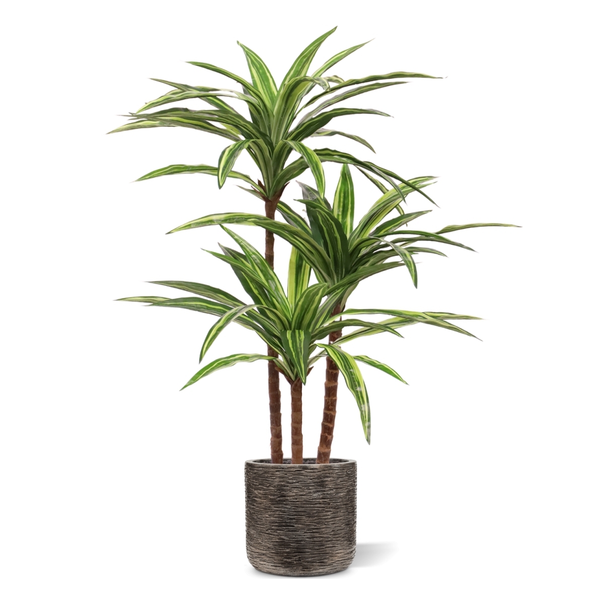 Replica Draceana Massangeana pianta Deluxe 95cm