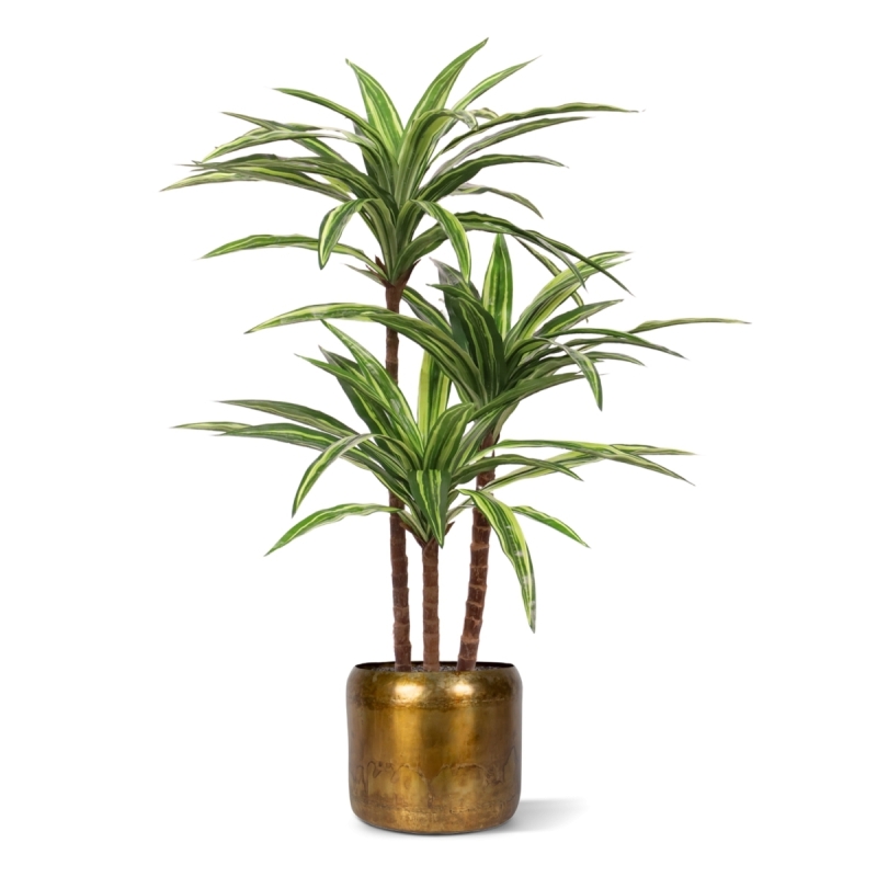 Replica Draceana Massangeana pianta Deluxe 95cm