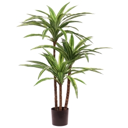 Replica Draceana Massangeana pianta Deluxe 95cm