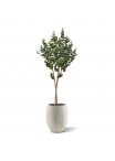 Albero artificiale di eucalipto su tronco 170 cm