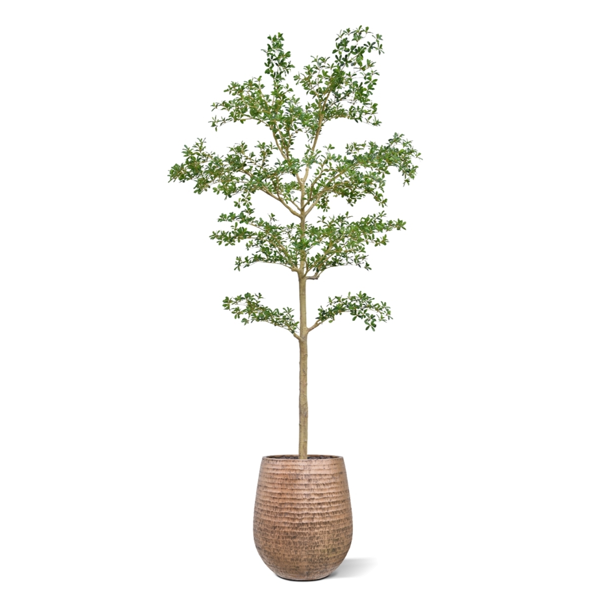 Albero artificiale Bucida Shady Lady verde 270 cm