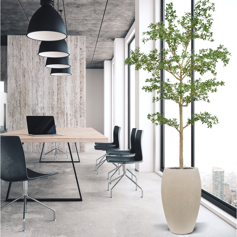 Albero artificiale Bucida Shady Lady verde 270 cm