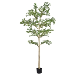 Albero artificiale Bucida Shady Lady verde 270 cm
