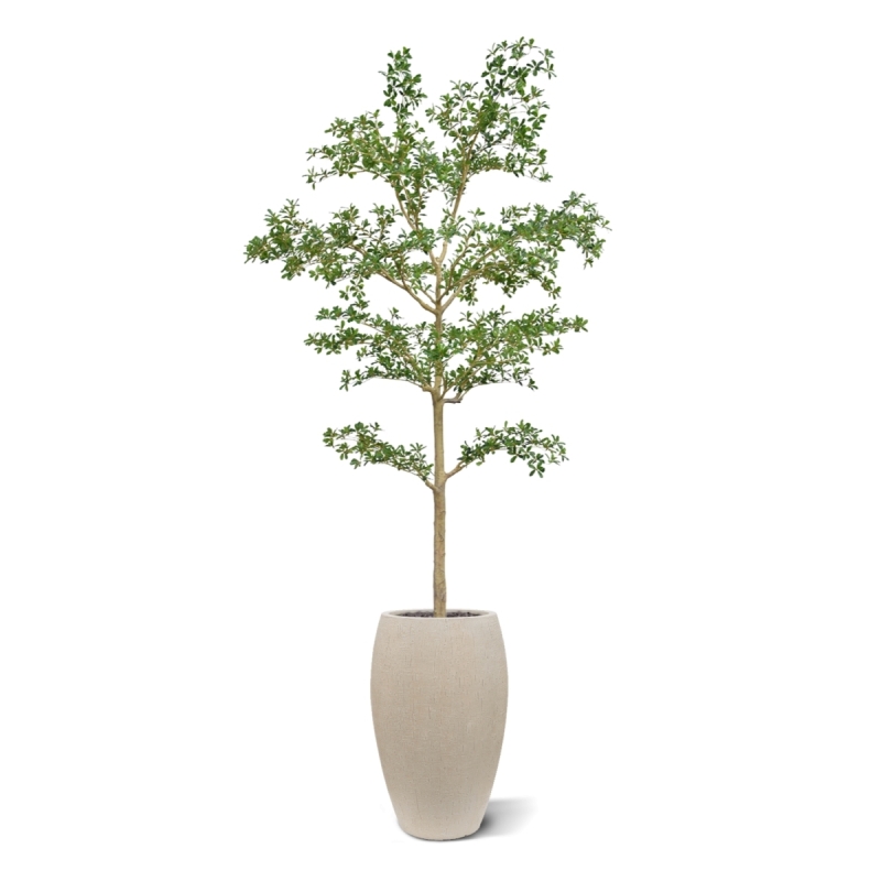 Albero artificiale Bucida Shady Lady verde 270 cm