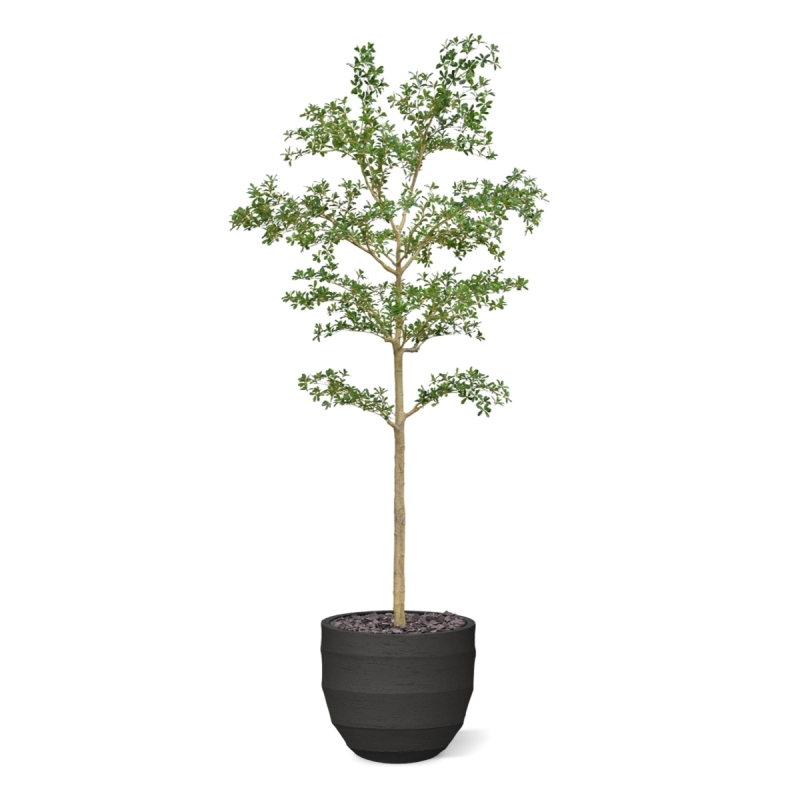 Albero artificiale Bucida Shady Lady verde 270 cm