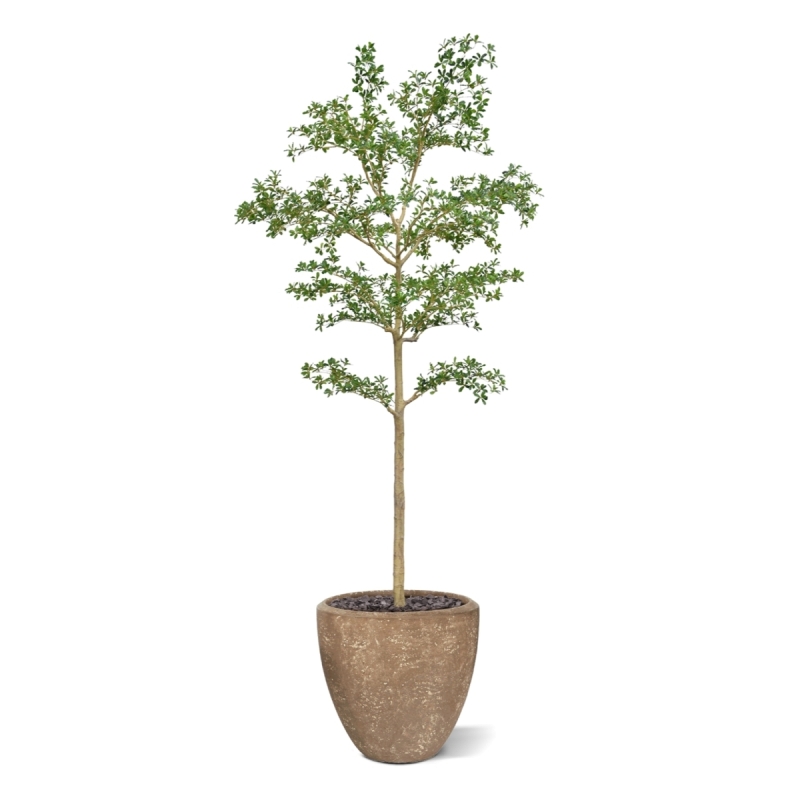 Albero artificiale Bucida Shady Lady verde 270 cm