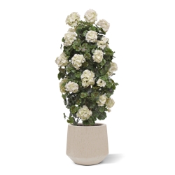 Geranio artificiale a colonna 120cm UV Crema