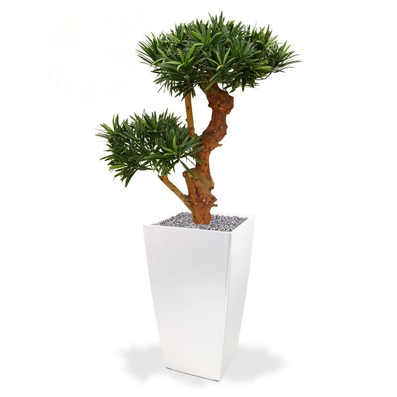 Podocarpus Bonsai deluxe pianta artificiale 65 cm - resistente ai raggi UV