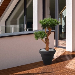 Podocarpus Bonsai deluxe pianta artificiale 65 cm - resistente ai raggi UV