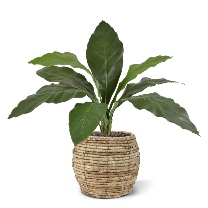 Anthurium Jungle King pianta artificiale 60 cm