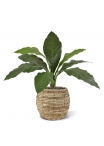 Anthurium Jungle King pianta artificiale 60 cm