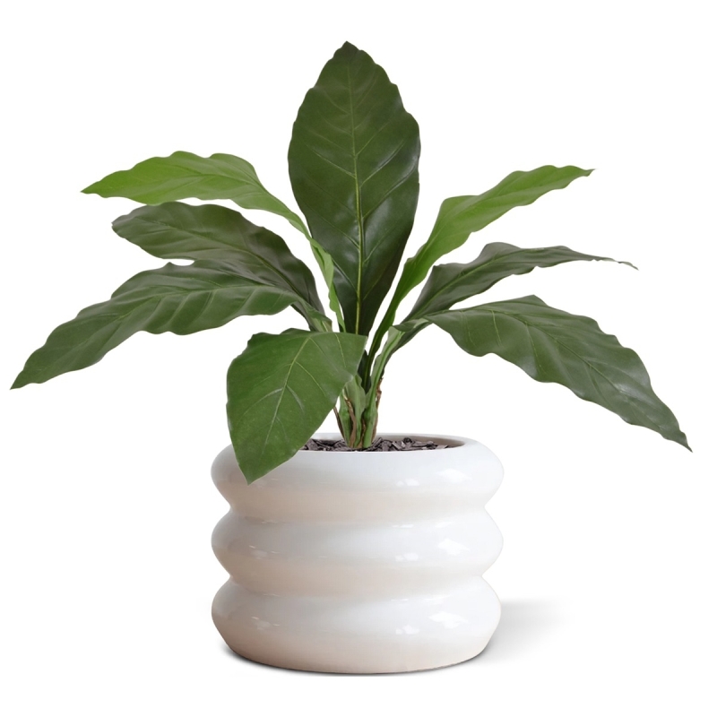 Anthurium Jungle King pianta artificiale 60 cm