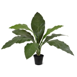 Anthurium Jungle King pianta artificiale 60 cm