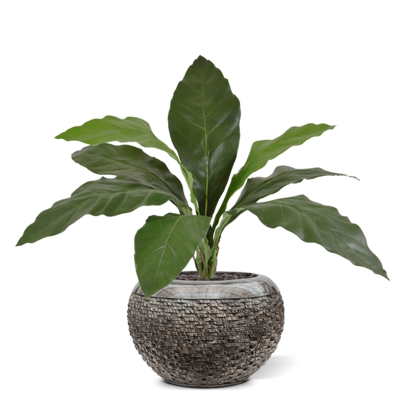 Anthurium Jungle King pianta artificiale 60 cm