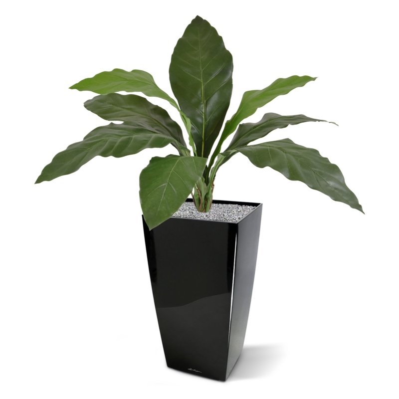Anthurium Jungle King pianta artificiale 60 cm