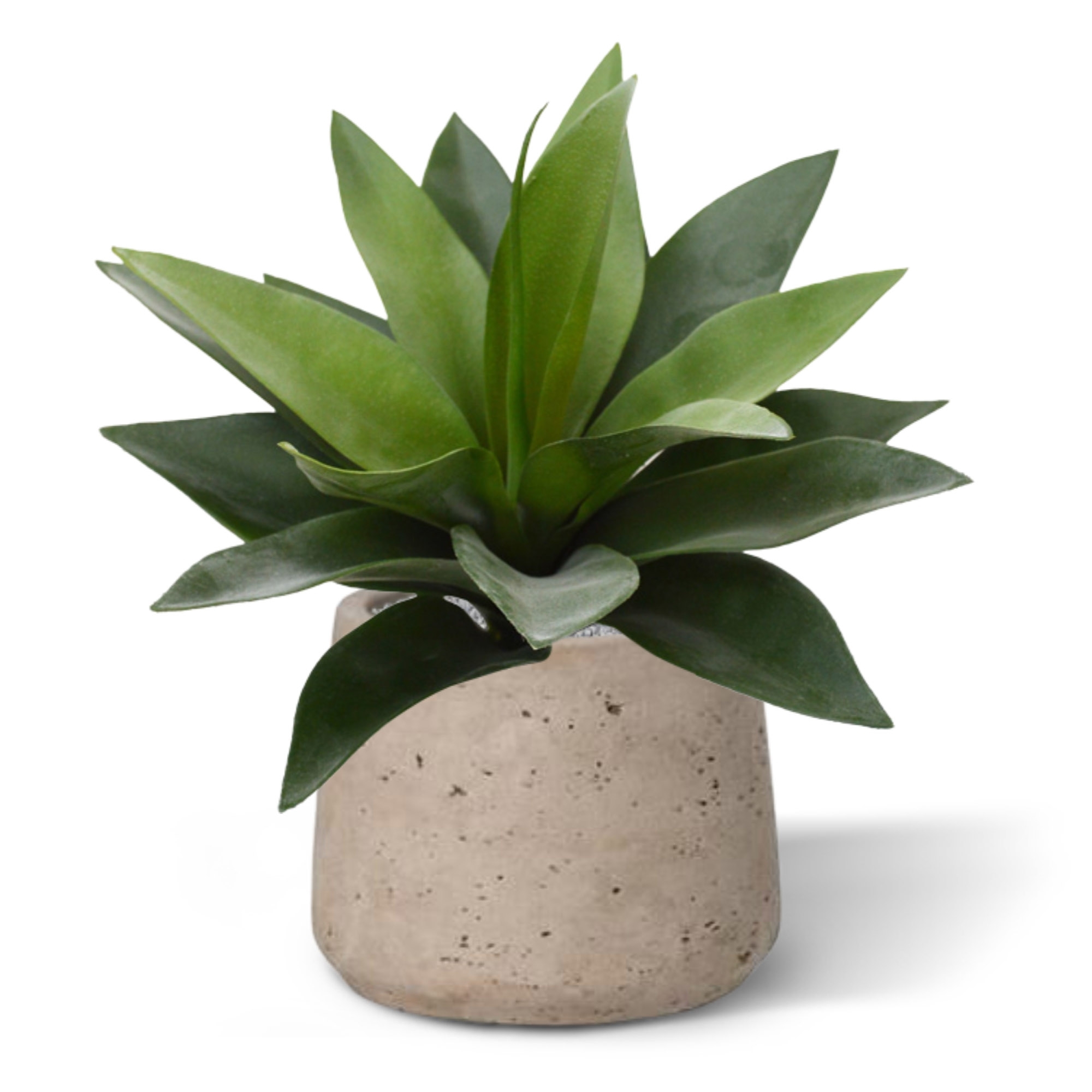 Pianta artificiale di agave da 25 cm in vaso da 10 cm