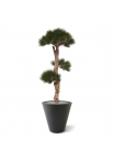 Albero artificiale Pinus Bonsai 110 cm - resistente ai raggi UV